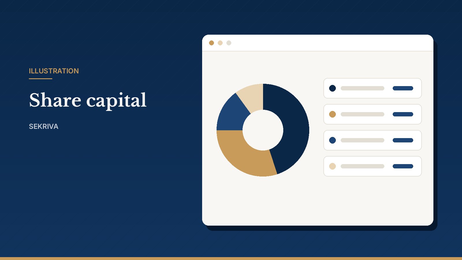 Illustration: Shareholders & Share Capital